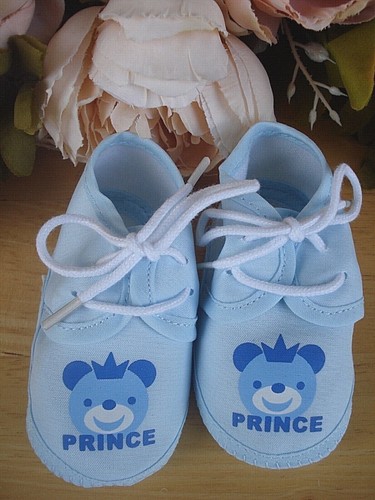 Baby boy pram - pram, shoes